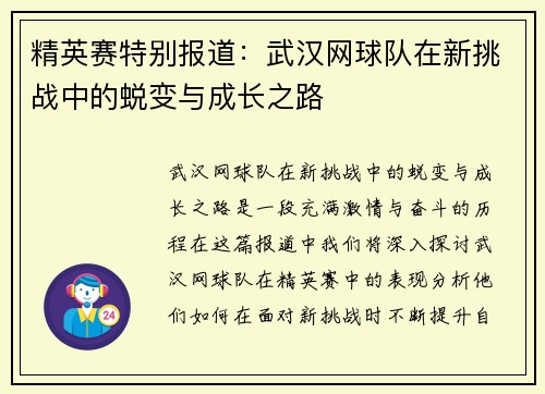 精英赛特别报道：武汉网球队在新挑战中的蜕变与成长之路