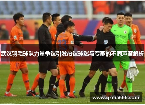 武汉羽毛球队力量争议引发热议球迷与专家的不同声音解析