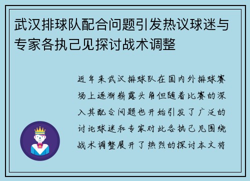 武汉排球队配合问题引发热议球迷与专家各执己见探讨战术调整