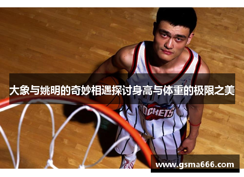 大象与姚明的奇妙相遇探讨身高与体重的极限之美