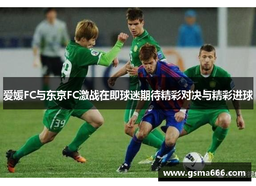 爱媛FC与东京FC激战在即球迷期待精彩对决与精彩进球
