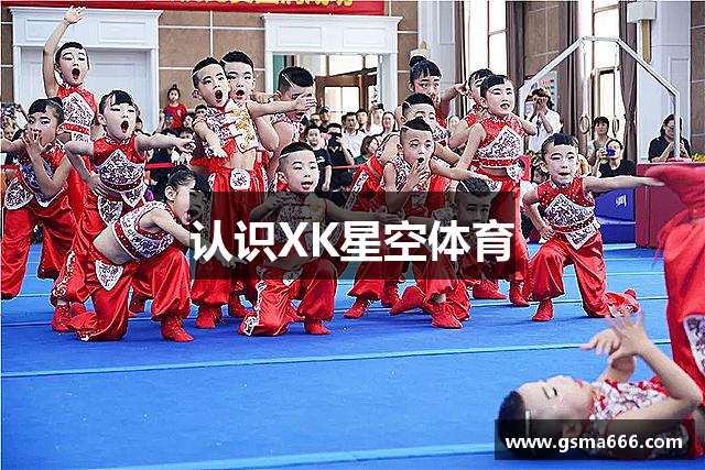 认识XK星空体育